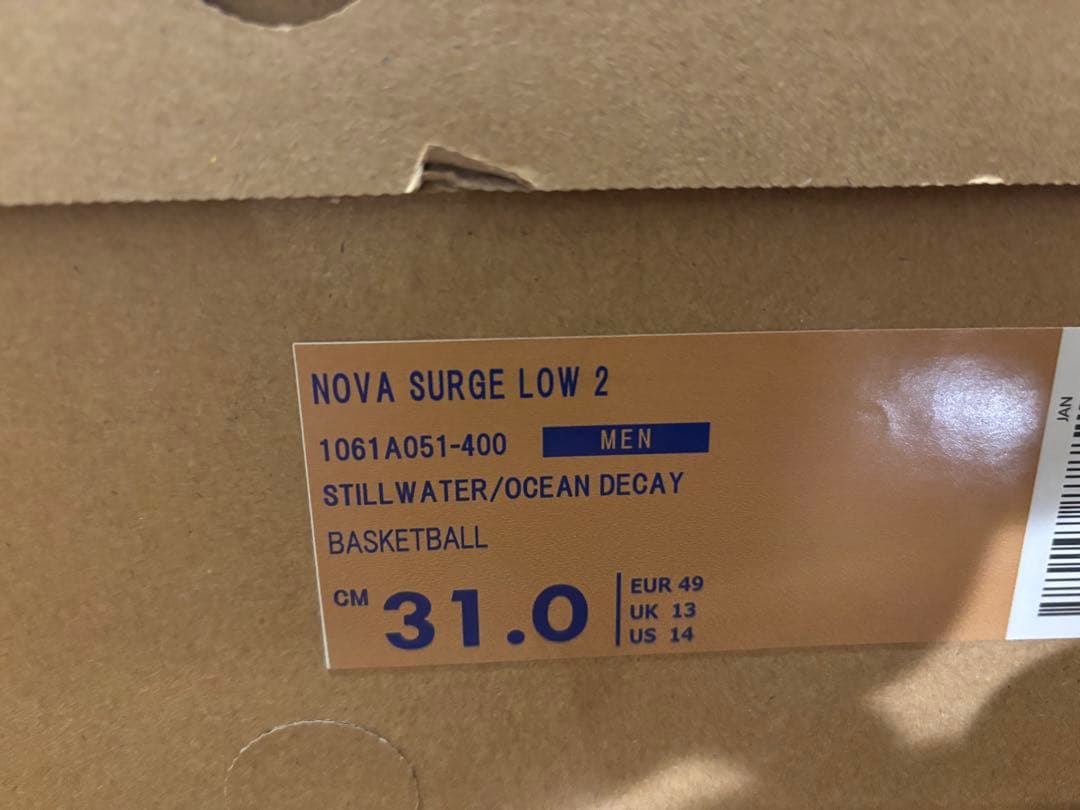 asics ノバサージ ロー2 31cm