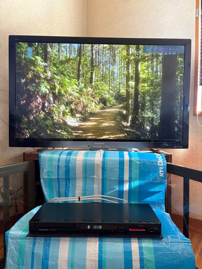 Panasonic ブルーレイレコーダー(W録/500GB)