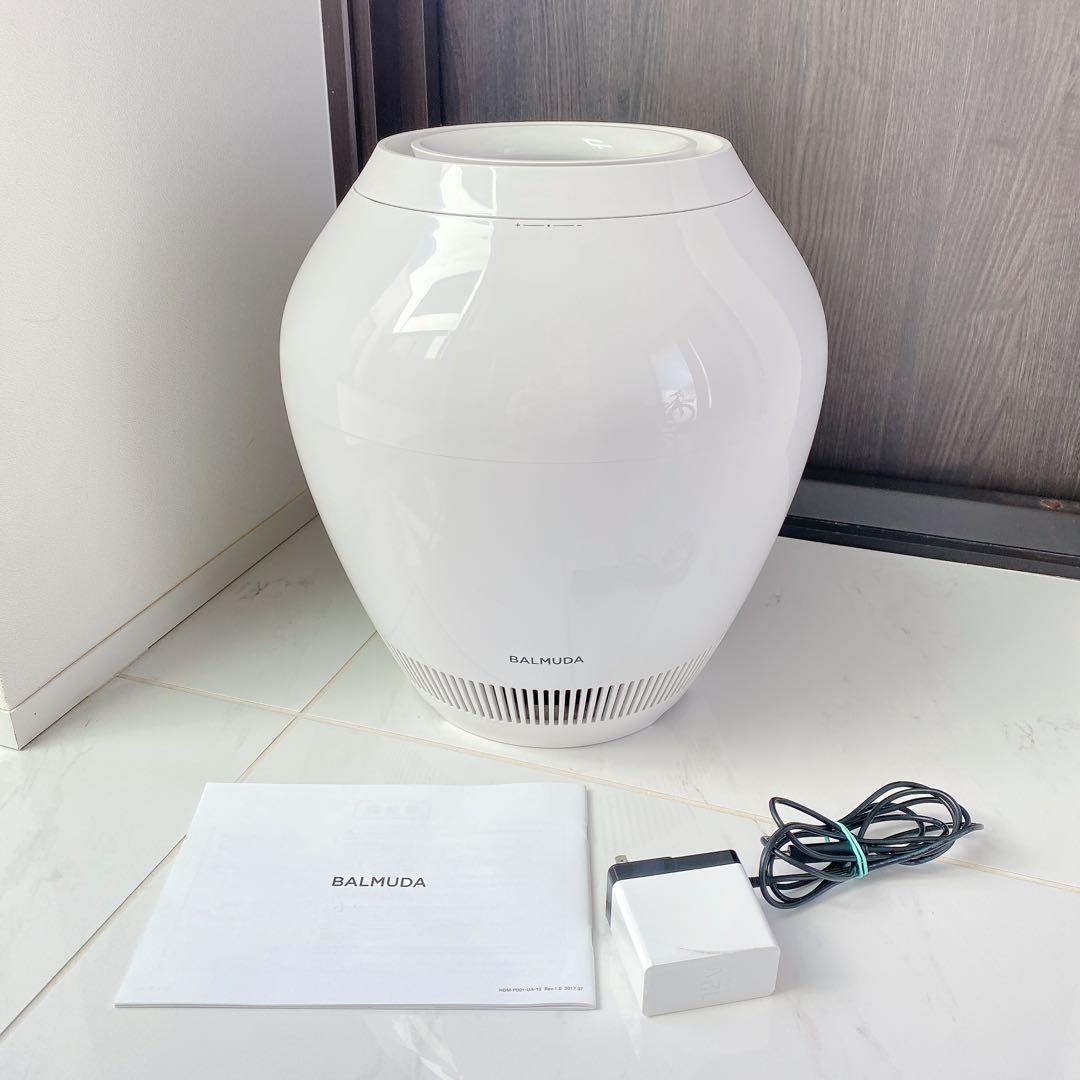 バルミューダRain ERN-1100UA-WK