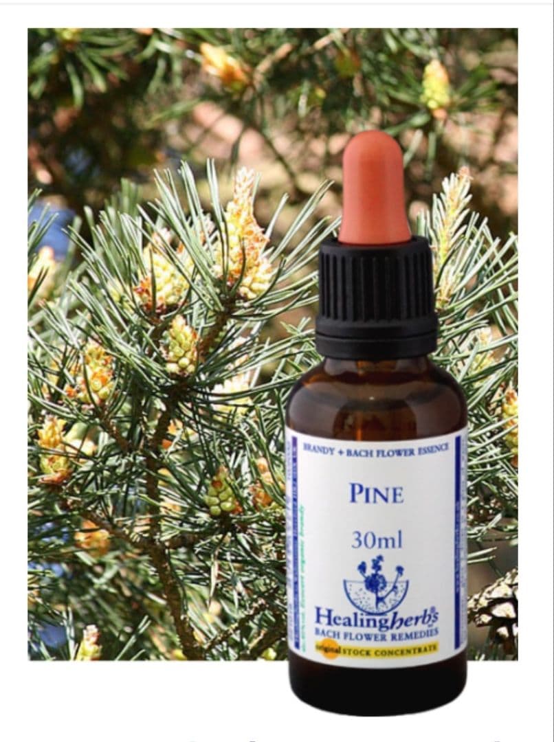 ponponette■30ml×3本ヒーリングハーブス社フラワーエッセンス