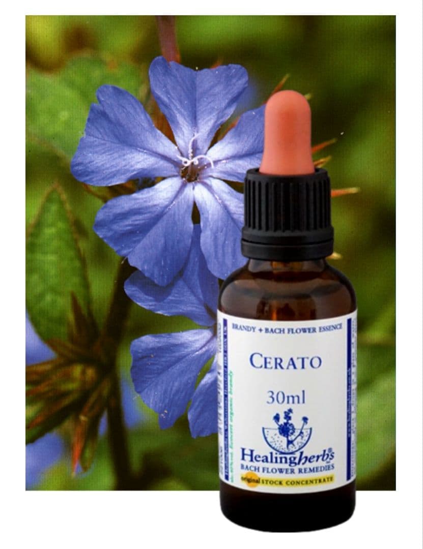 ponponette■30ml×3本ヒーリングハーブス社フラワーエッセンス