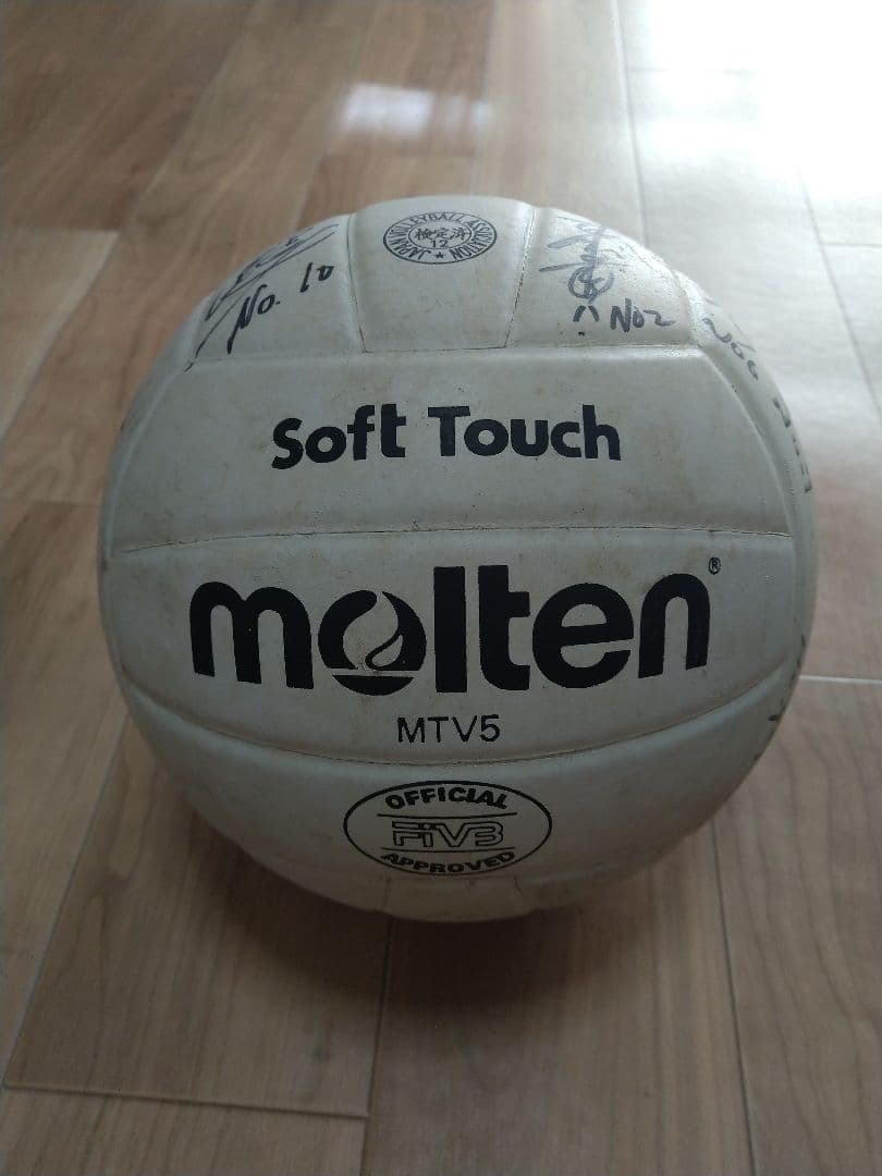 モルテン　NTT バレーボール