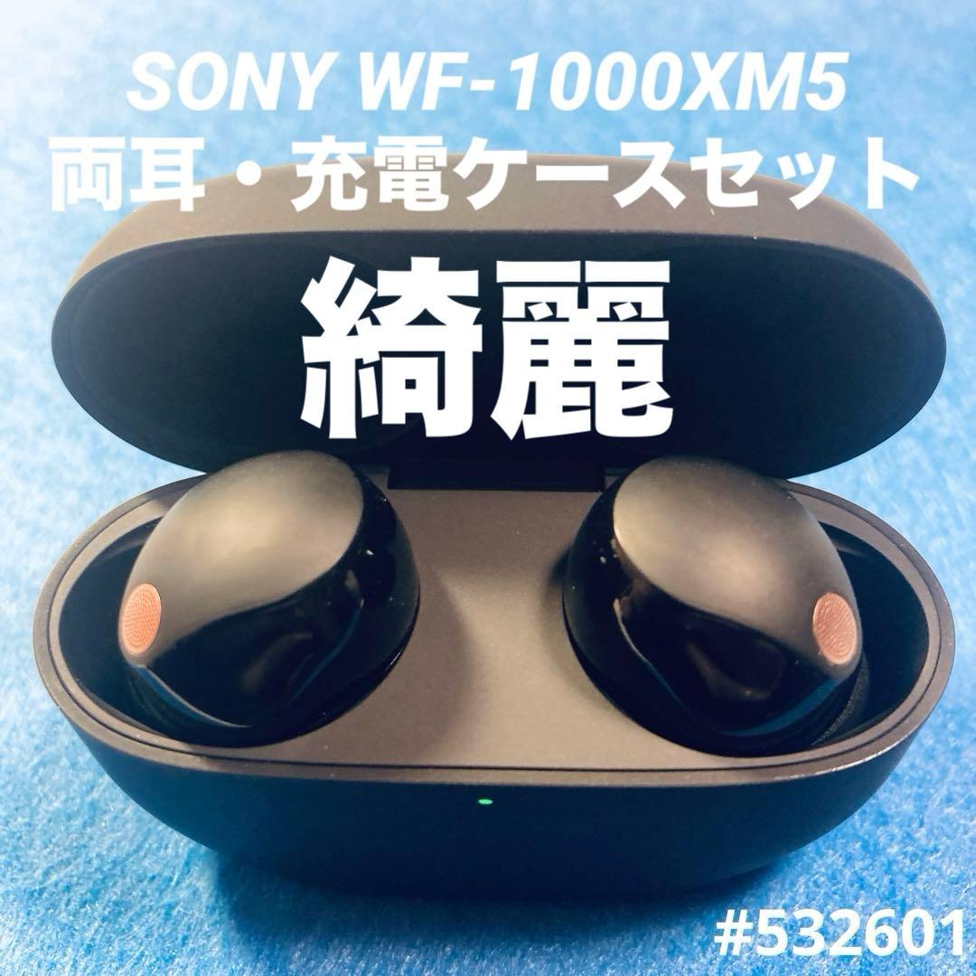SONY WF-1000XM5 ワイヤレスイヤホン　セット　充電　ケース　右　左