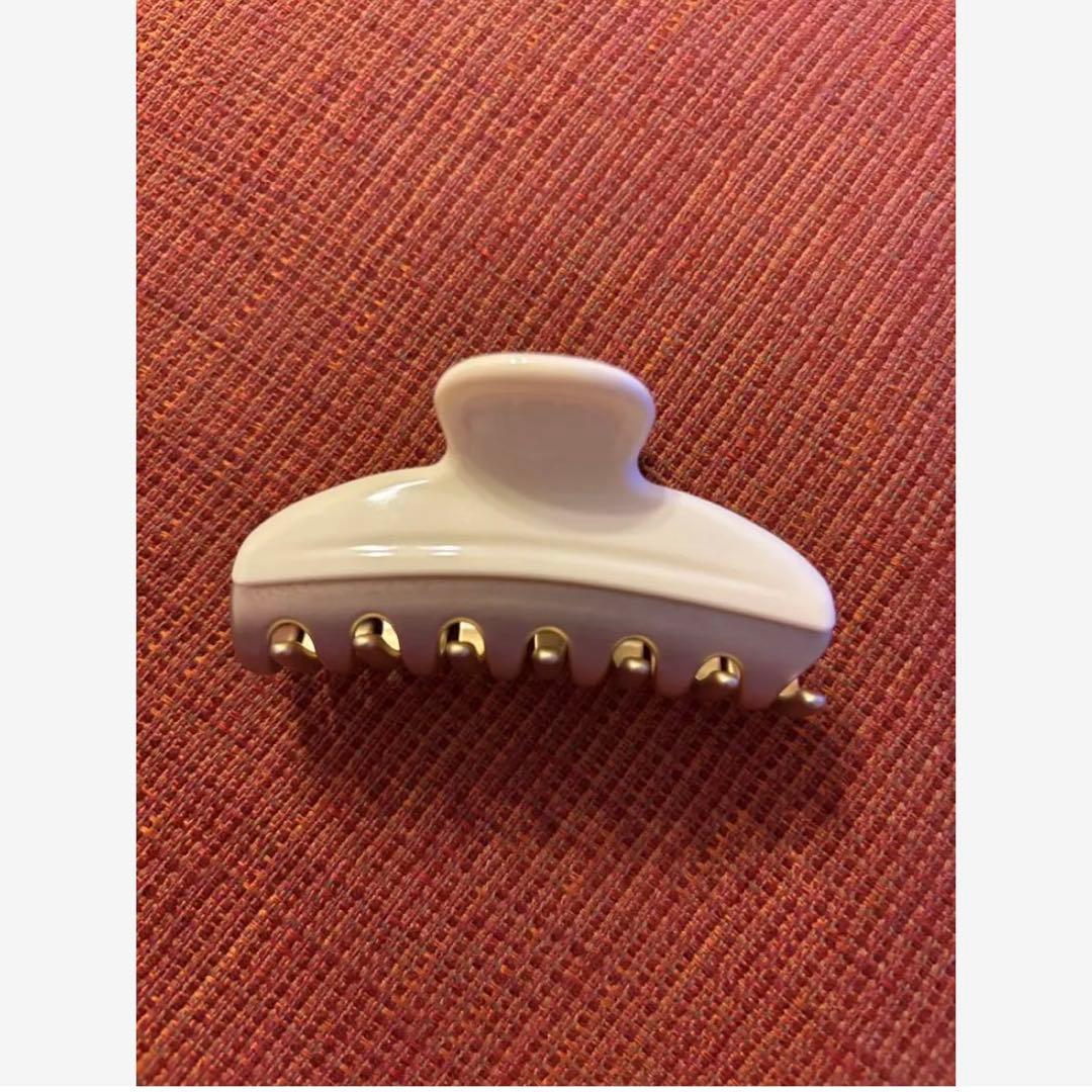 本日価格！アレクサンドルドゥパリ　バレッタ　ヘアクリップ