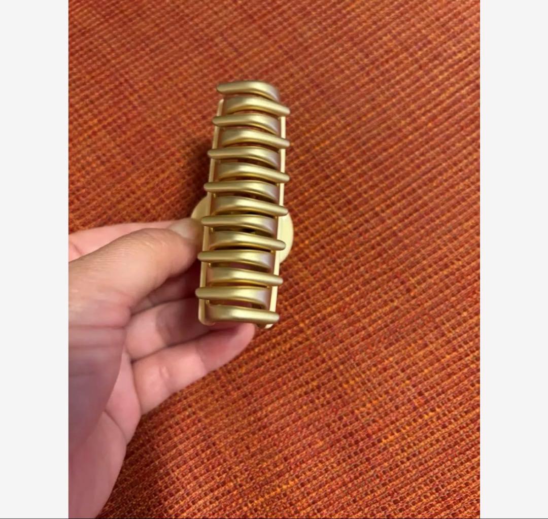 本日価格！アレクサンドルドゥパリ　バレッタ　ヘアクリップ