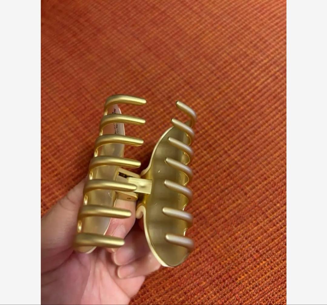 本日価格！アレクサンドルドゥパリ　バレッタ　ヘアクリップ