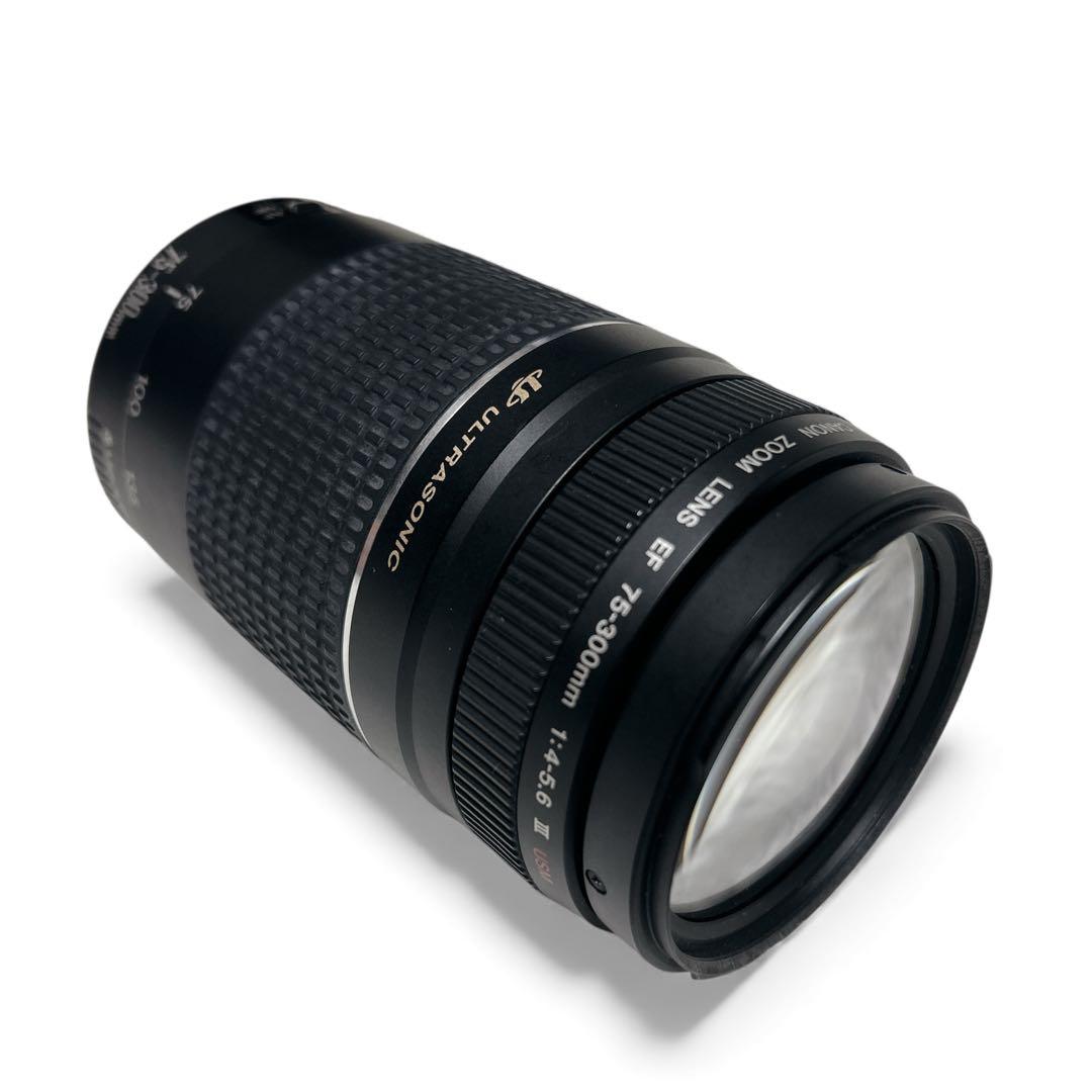 Canon EF 75-300mm f/4-5.6 III USM ズームレンズ
