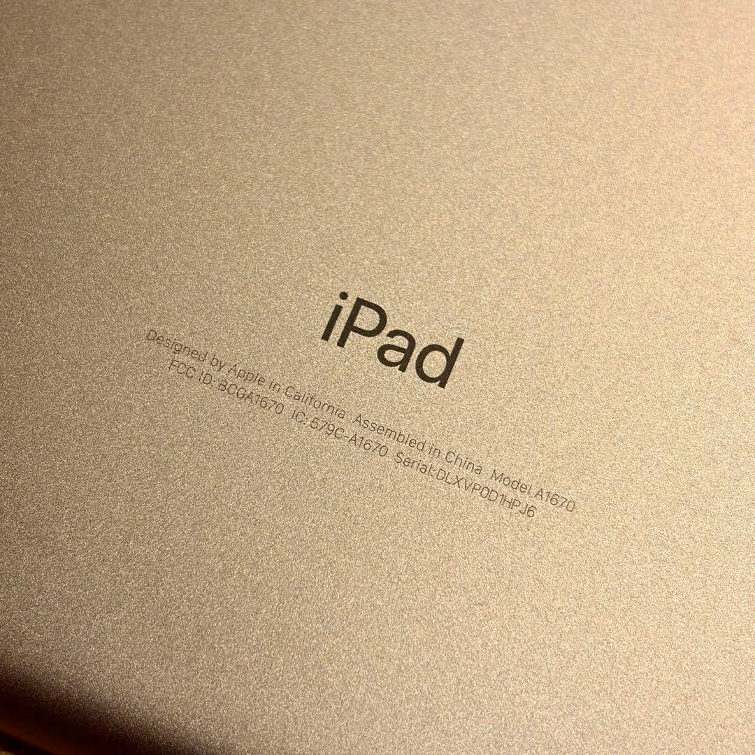 iPad Pro 12.9インチ (第2世代) 512GB