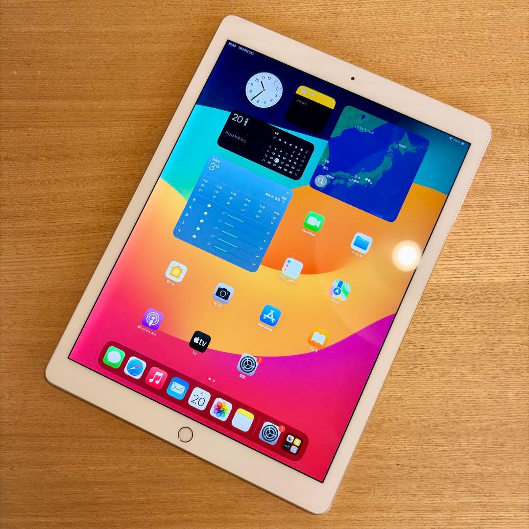 iPad Pro 12.9インチ (第2世代) 512GB