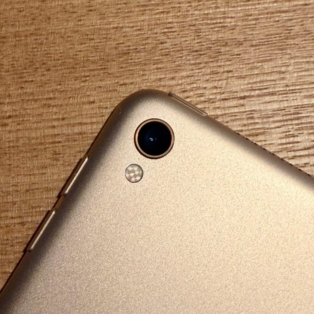 iPad Pro 12.9インチ (第2世代) 512GB