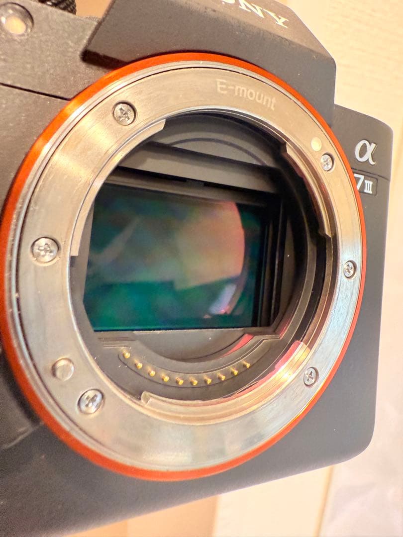 SONY α7 III 本体 バッテリー2個付き