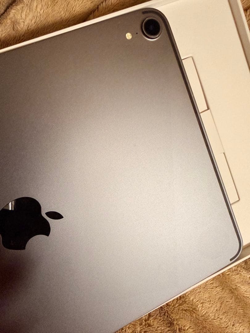 iPad Pro (11インチ) Wi-Fi 256GB 2018年式