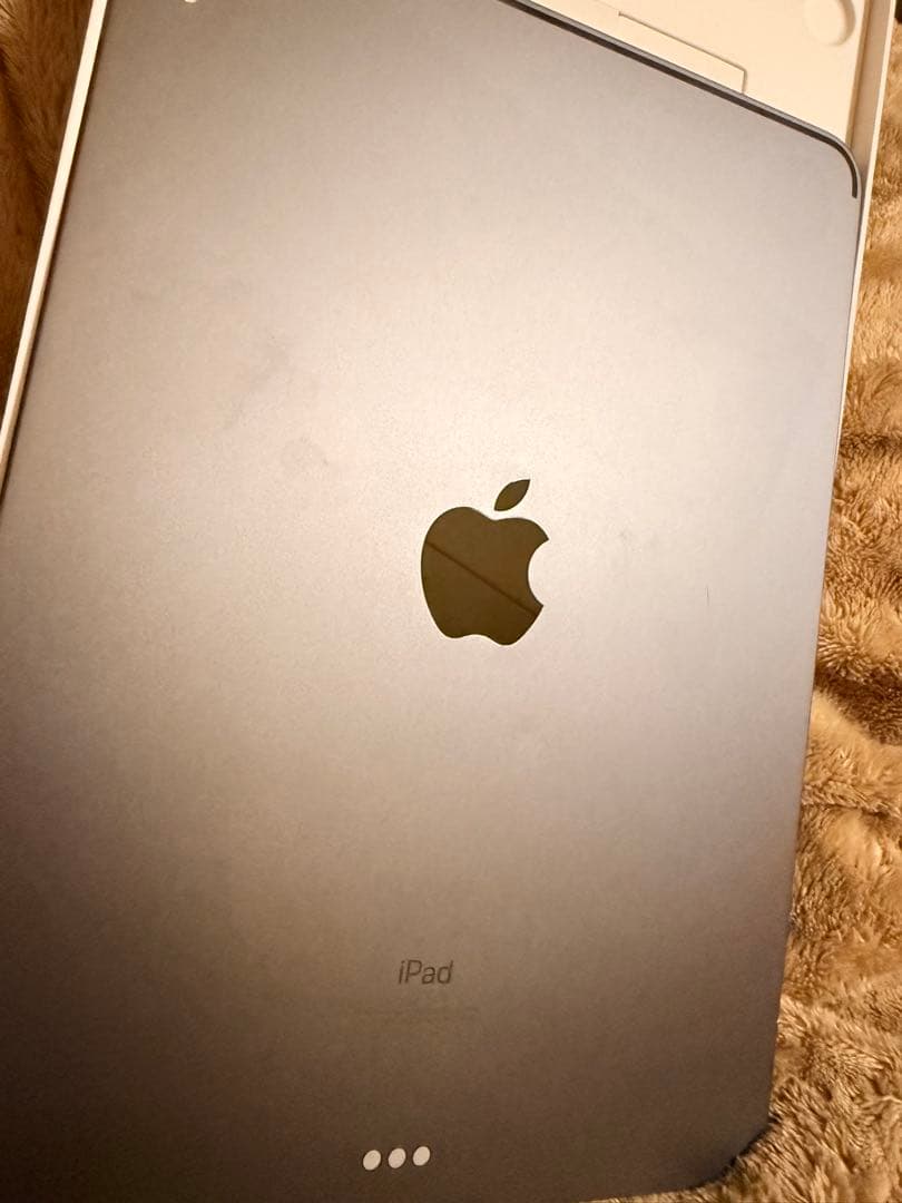 iPad Pro (11インチ) Wi-Fi 256GB 2018年式