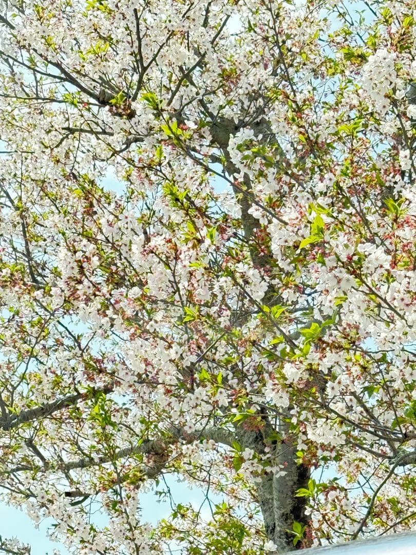 すぬーぴぃ34！