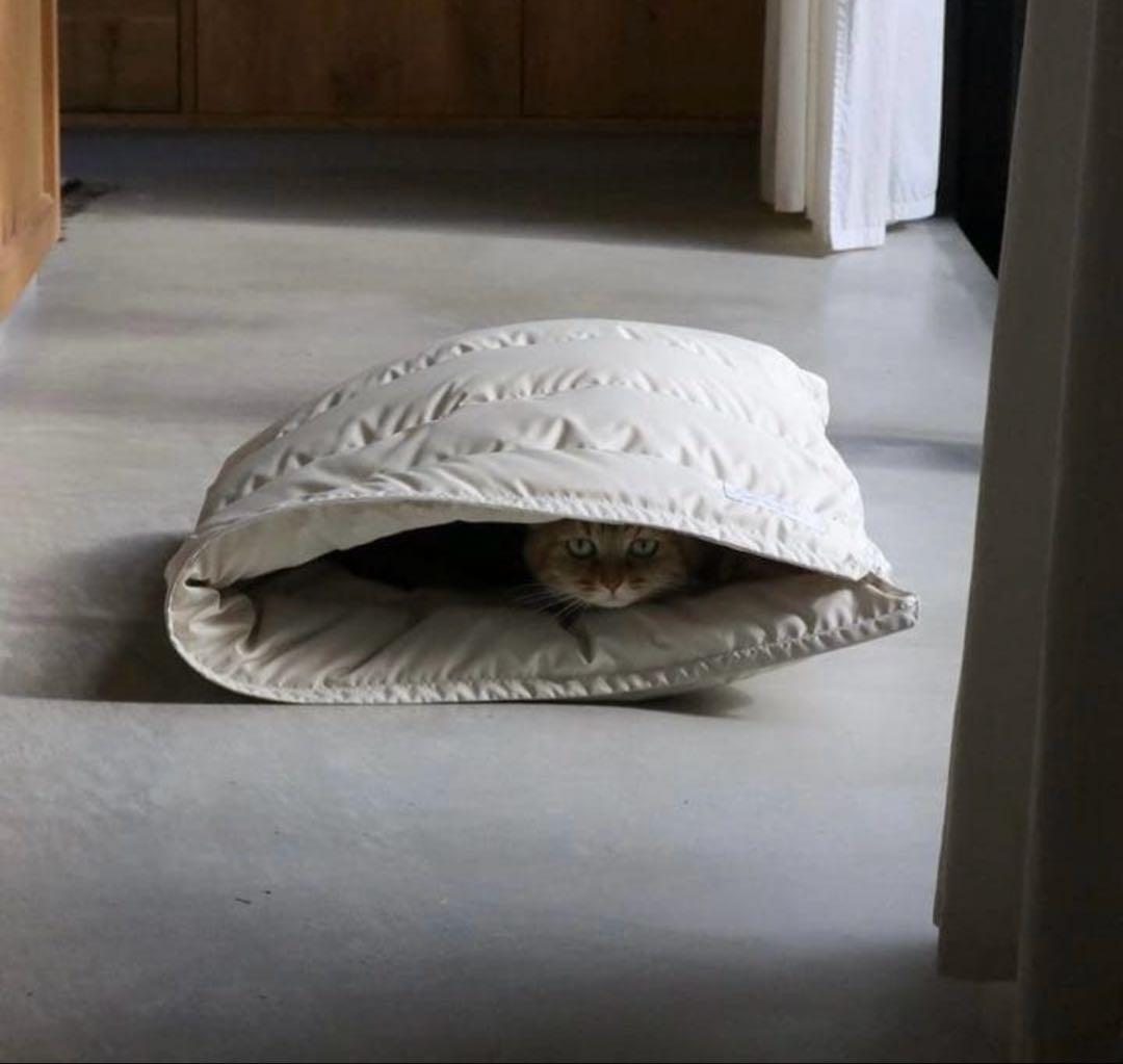 necoto ダウン　スリーピングバッグ　ベッド　猫