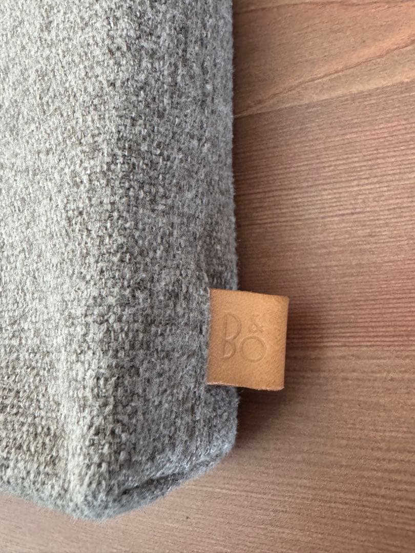 Bang & Olufsen Beoplay H95と 純正キャリングケース