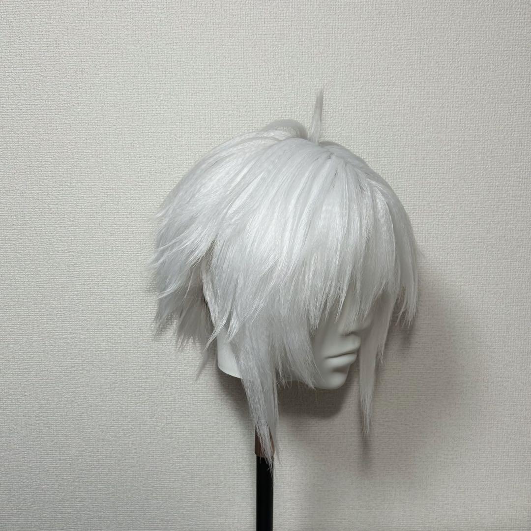 D.Gray-man Dグレ　アレン・ウォーカー　コスプレ　ウィッグ　完成品