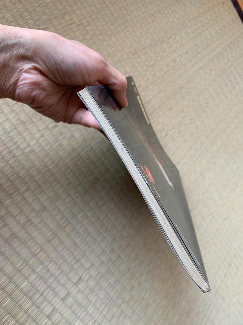 吉野一生 ティラノサウルス 全身骨格 折図 おりがみはうす ガレージブック