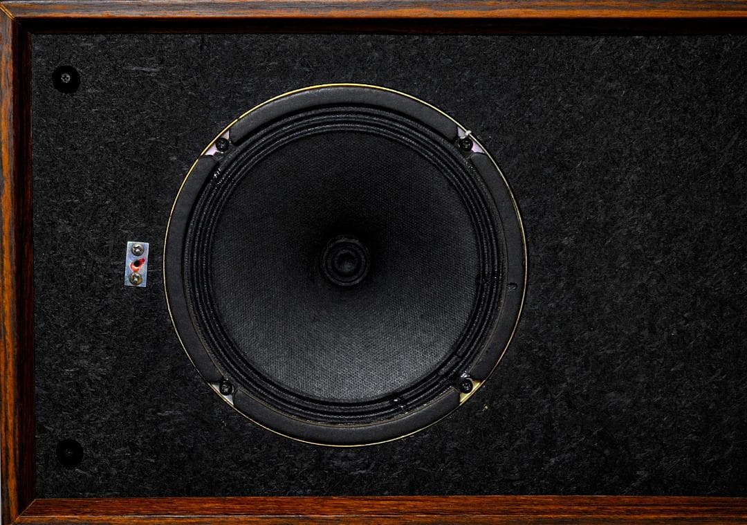 ★懐しあの頃の思いにある音を聴きたい♪　VICTOR BLA-G200　♪