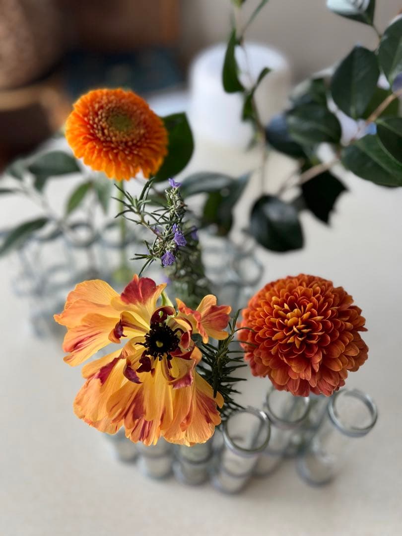 ツェツェ　アソシエ　名品　四月の花器M