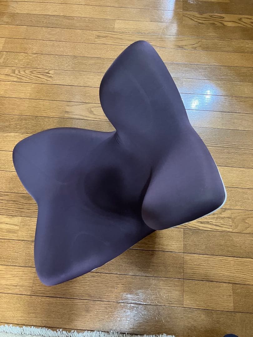 新品未使用　Style PREMIUM 座椅子　ブラウン