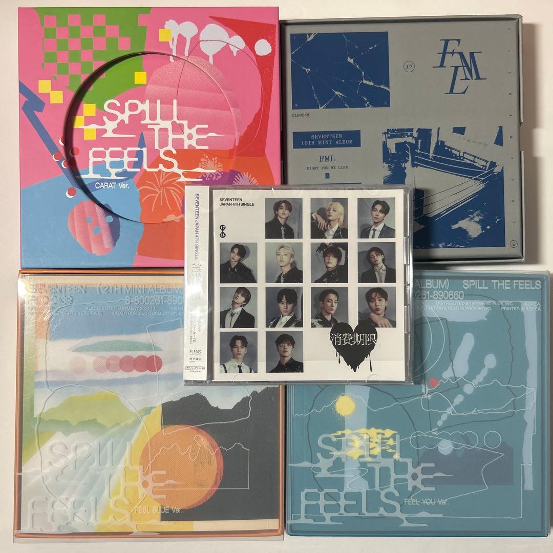 SEVENTEEN ジュン トレカ アルバム セット 全5ページ