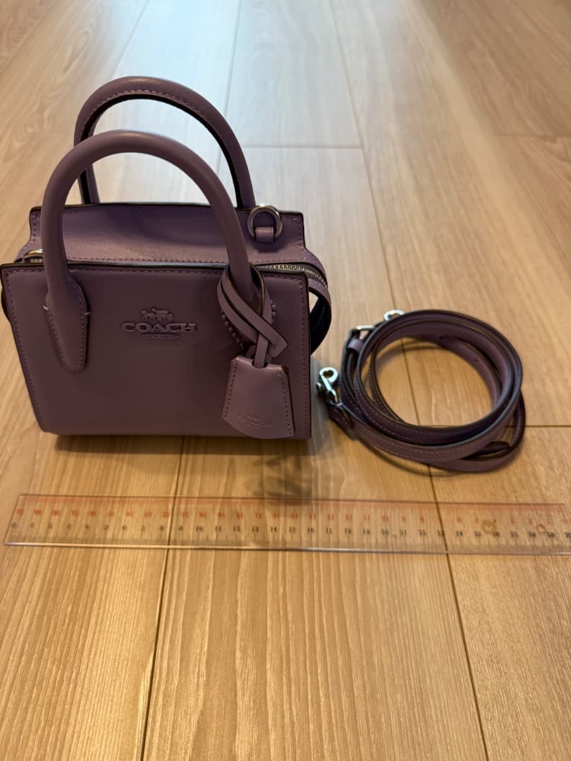 COACH　アンドレア　ミニ　キャリーオール