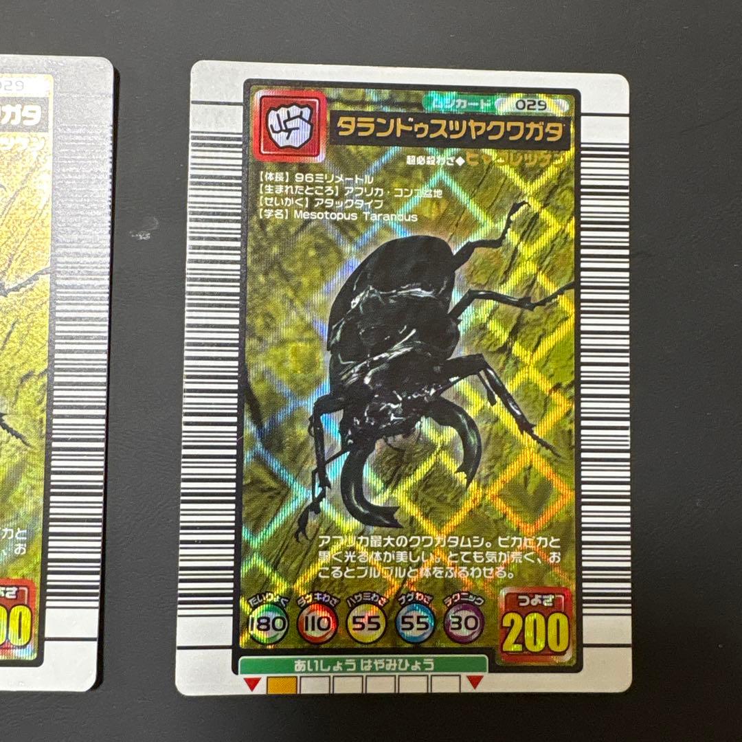 ムシキング　タランドゥスツヤクワガタ トレーディングカード 029