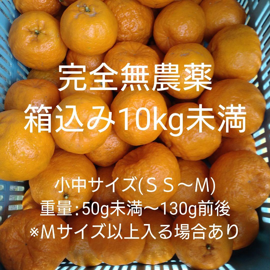 訳アリ　実のみ　完全無農薬　ポンカン　箱込み10kg未満　ゴロゴロ入り