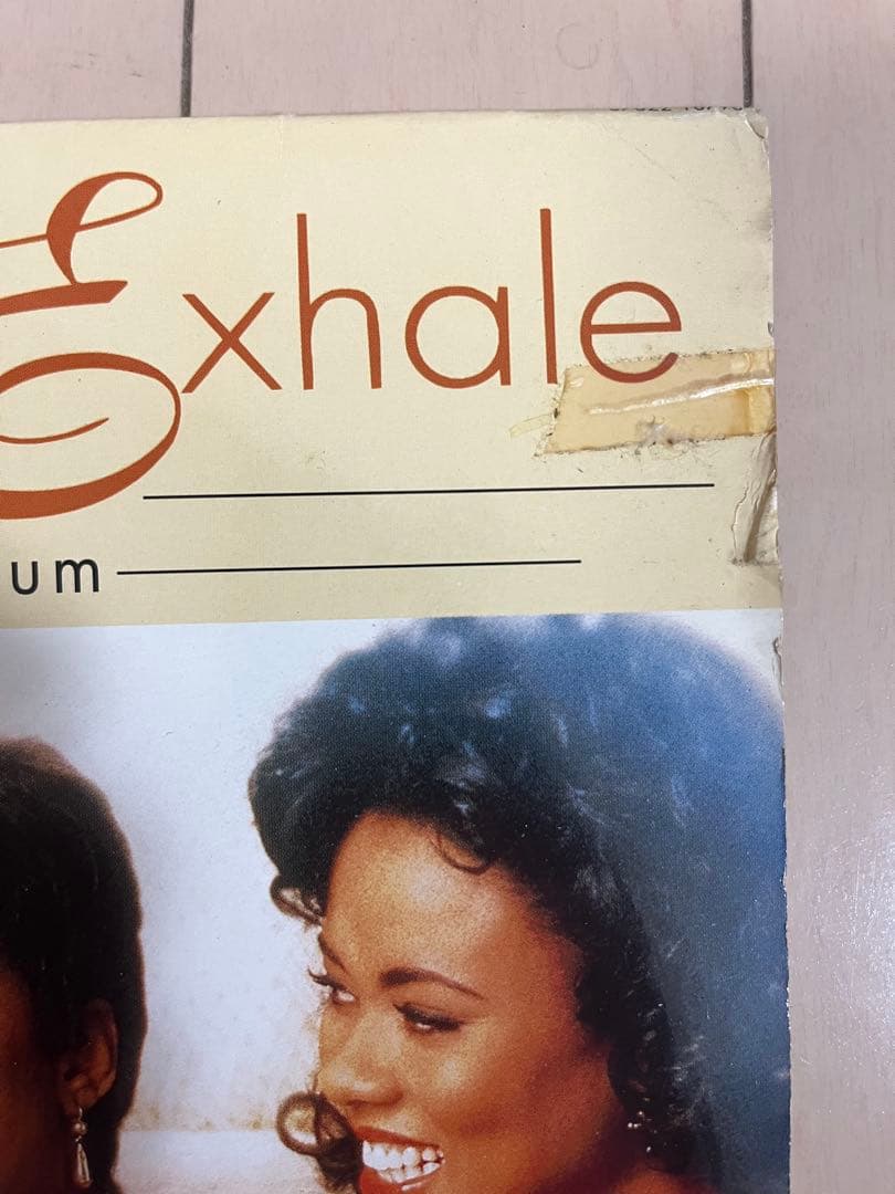 Waiting To Exhale OST レコード 2LP