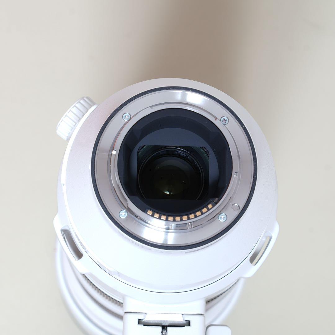 レンズ(ズーム) FE 200-600mm F5.6-6.3 G OSS G SEL200600G