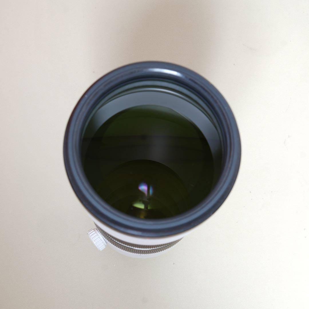 レンズ(ズーム) FE 200-600mm F5.6-6.3 G OSS G SEL200600G