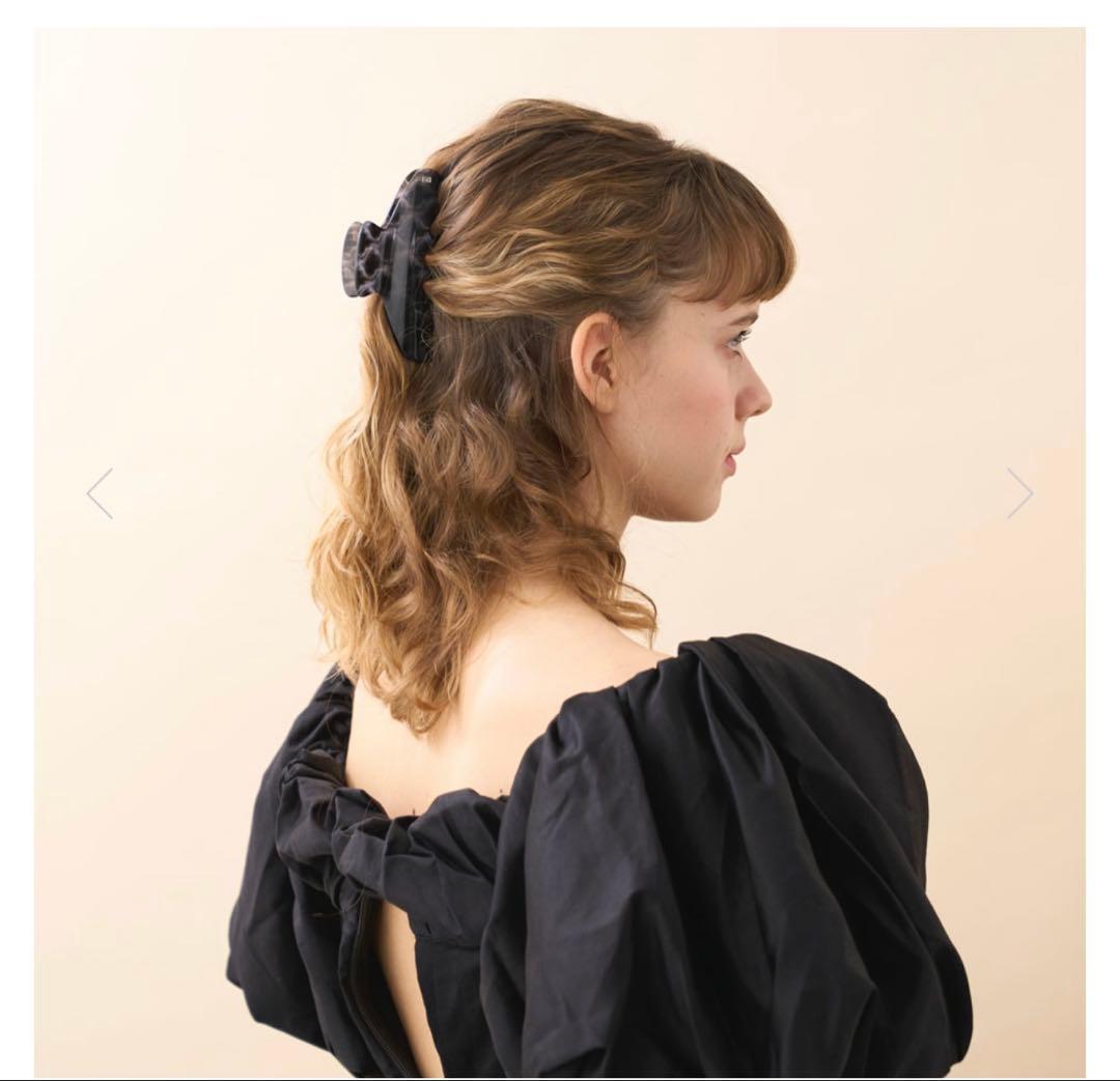 ほぼ新品　アレクサンドルドゥパリ　クリップL