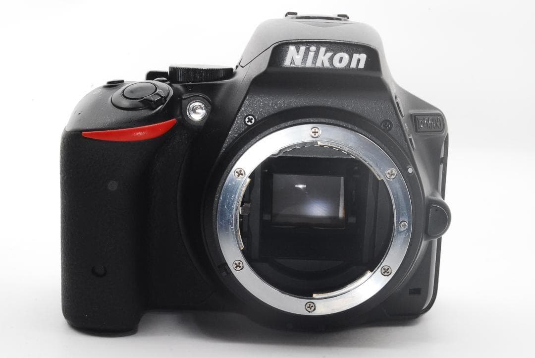 【初心者人気】Nikon D5500 ダブルズーム Wi-Fi内蔵 手振れ補正