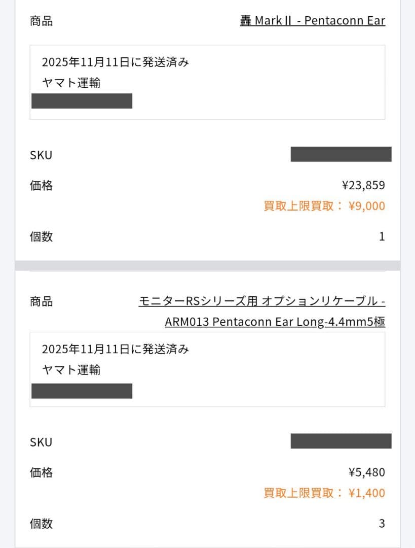 O2aid intime 轟 MarkII Pentaconn ear 美品