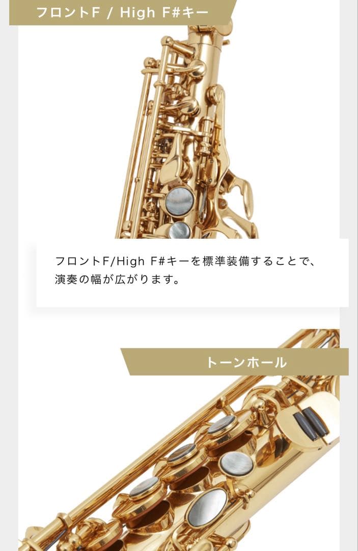 ソプラノサックス 本体 ソフトケース付き