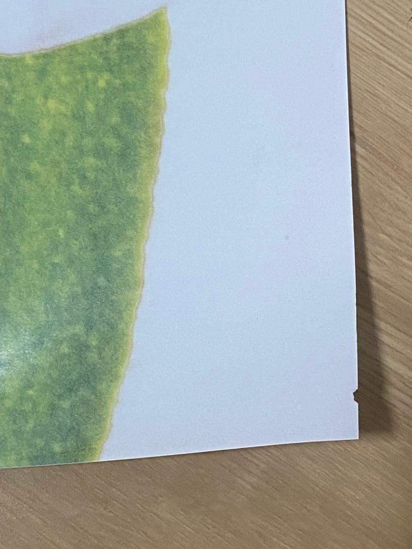 supreme カーミット　ポスター