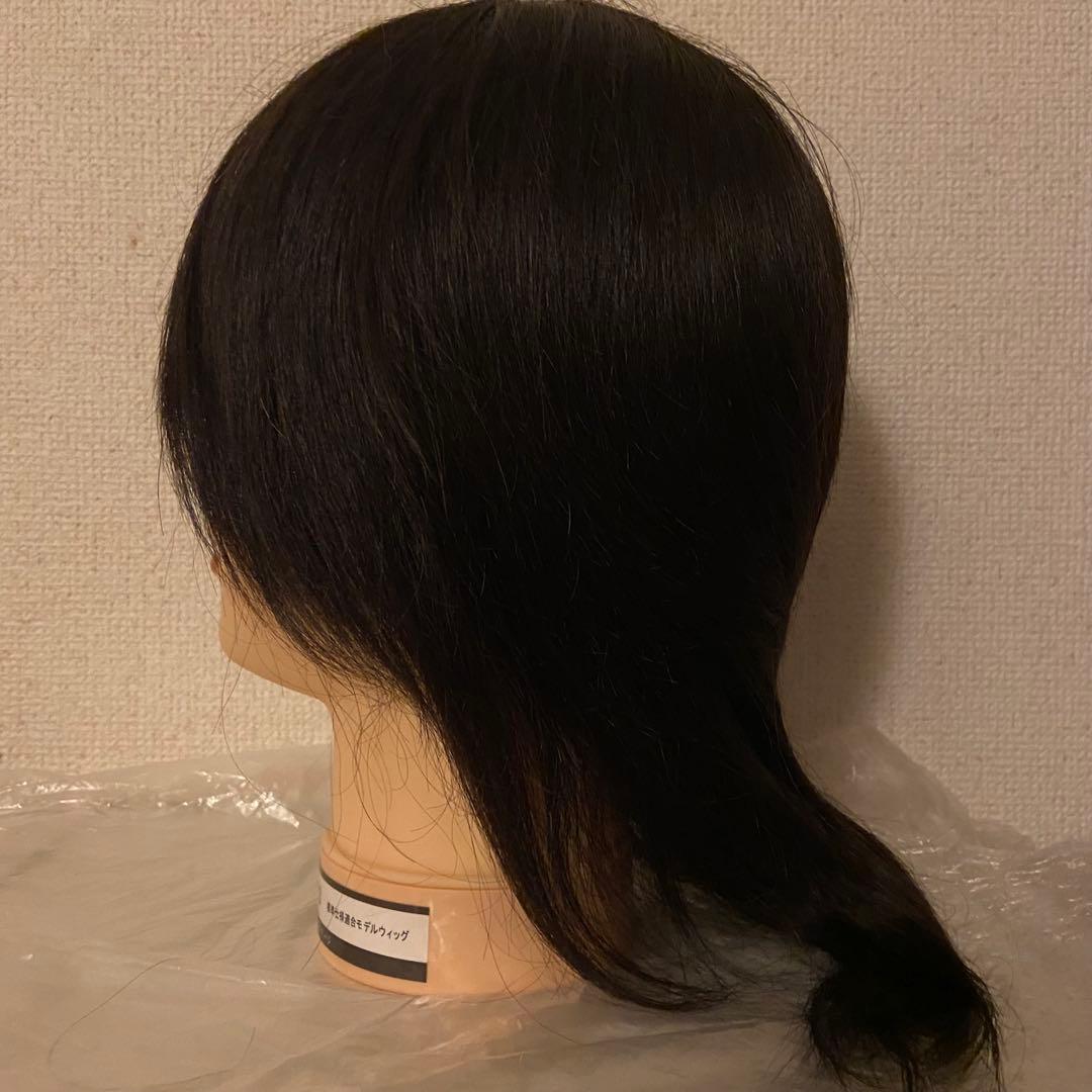 国家資格試験用カットウィッグ19体