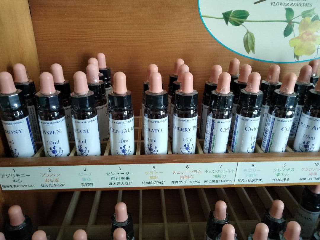 p.p.6本■ヒーリングハーブス社フラワーエッセンス■レスキューレメディー