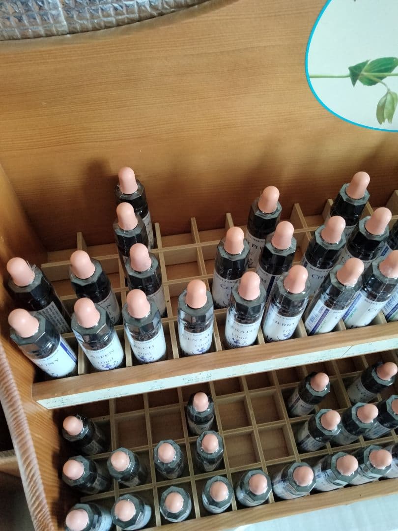 p.p.6本■ヒーリングハーブス社フラワーエッセンス■レスキューレメディー