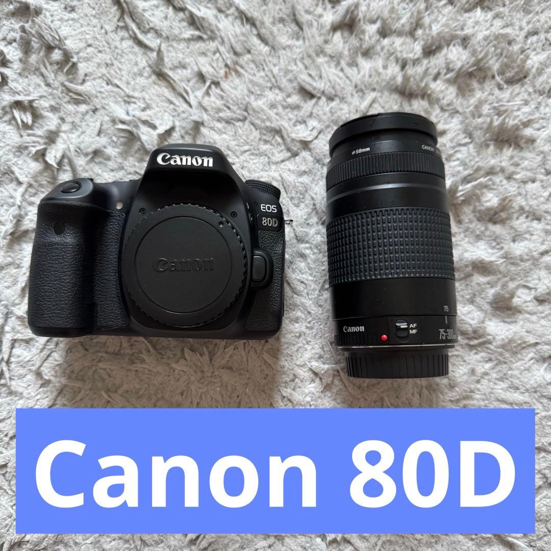Canon EOS 80D デジタル一眼レフカメラ 望遠レンズセット
