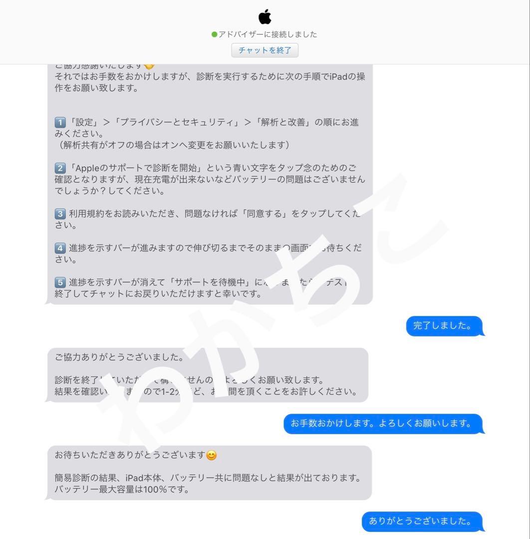 極美品 バッテリー100% 256 WiFi iPad Pro 本体 第3世代