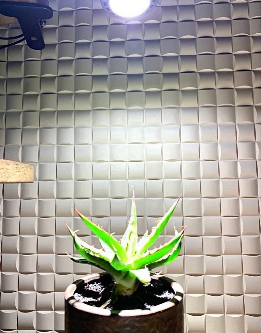 15W植物育成ライトGrowLight PAR20 6000K 6個