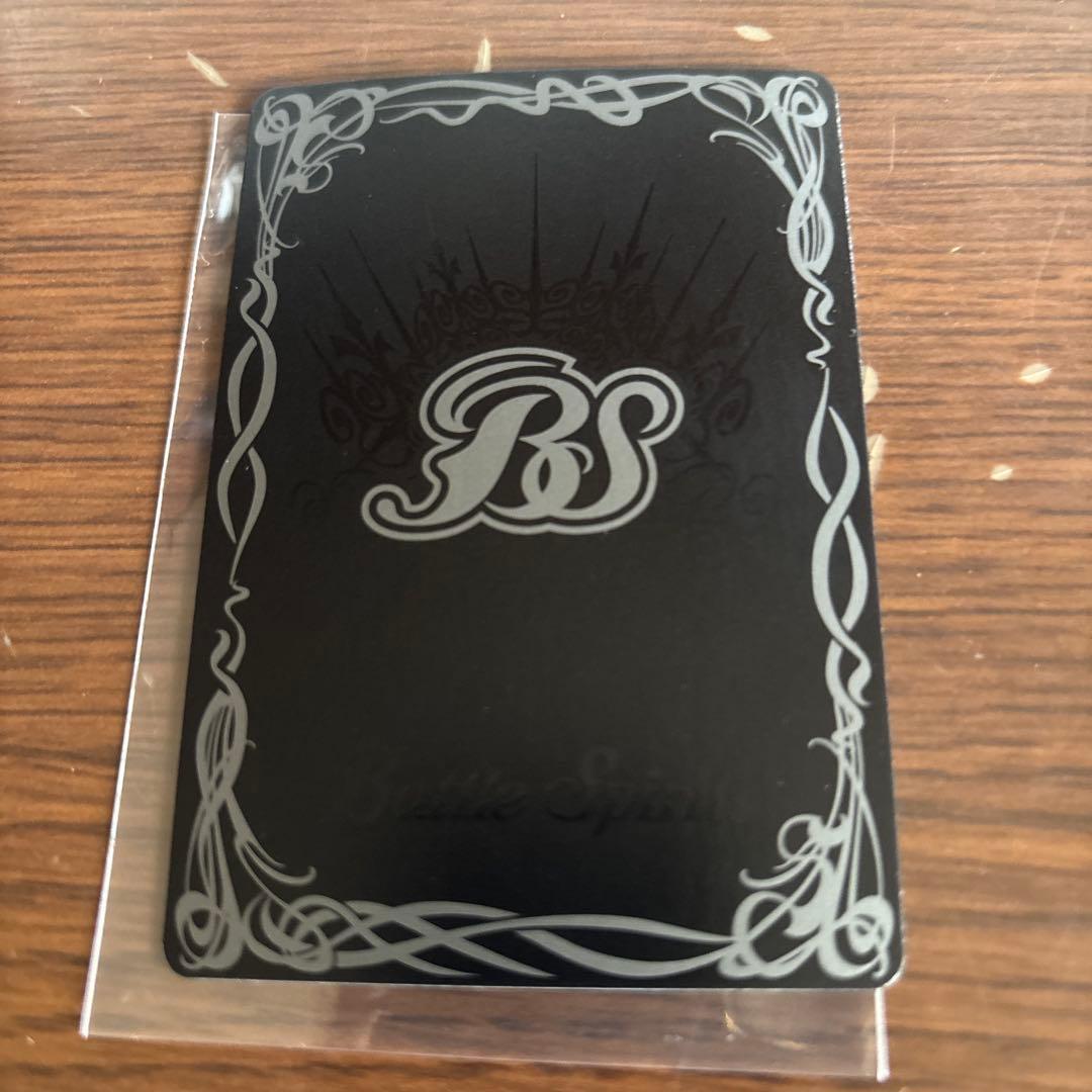 シュタインボルグXV シークレット　巡る星々　シュタイン・ボルグxv 特別仕様