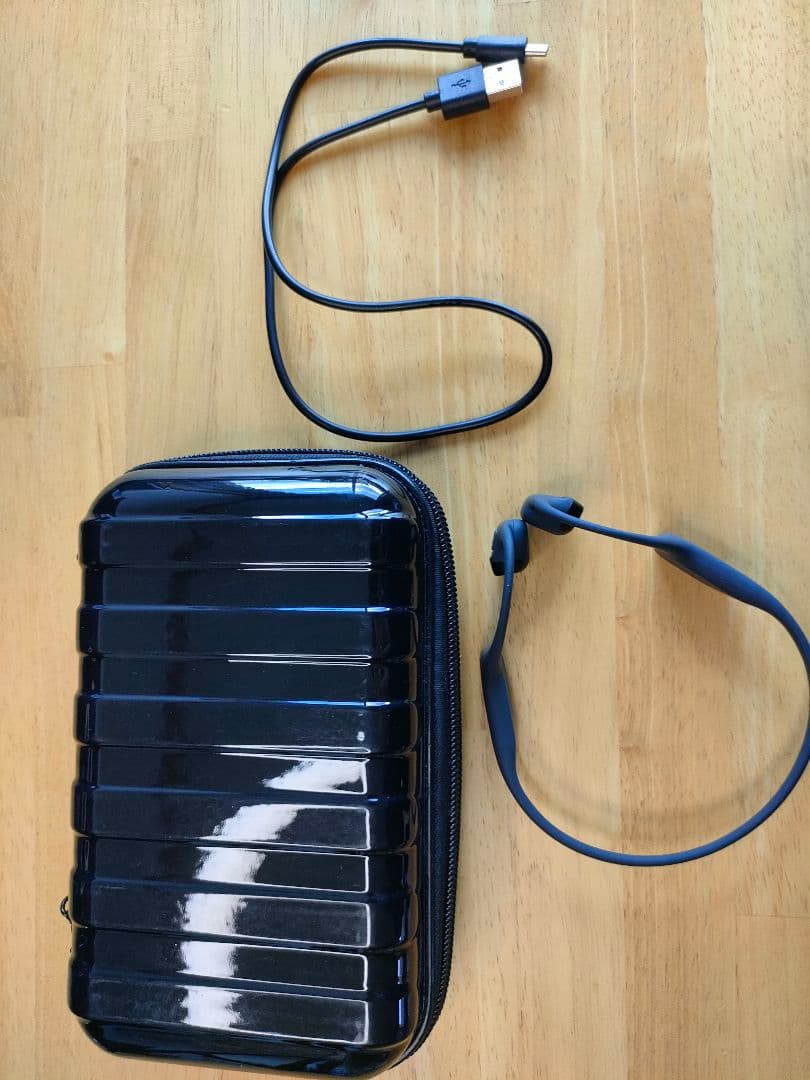 さしみ　shokz OPENRUN PRO2 ハードケース付き