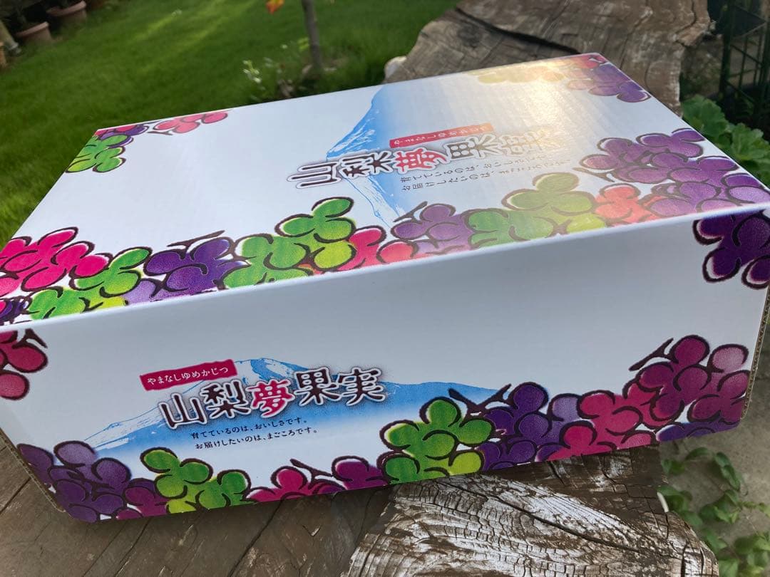 終了 悪魔のぶどう 山梨県産プレミアムシャインマスカット2房