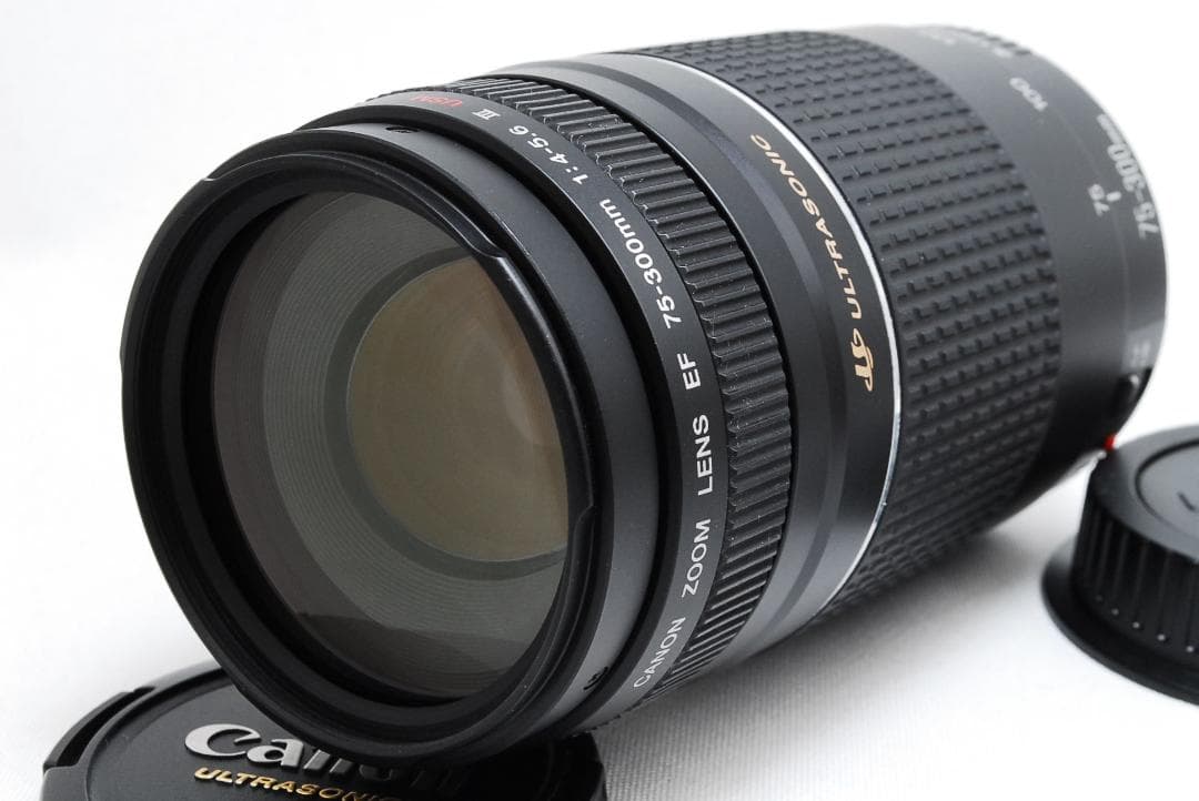 ◆美品◆ Canon EF 75-300mm F4-5.6 Ⅲ USM