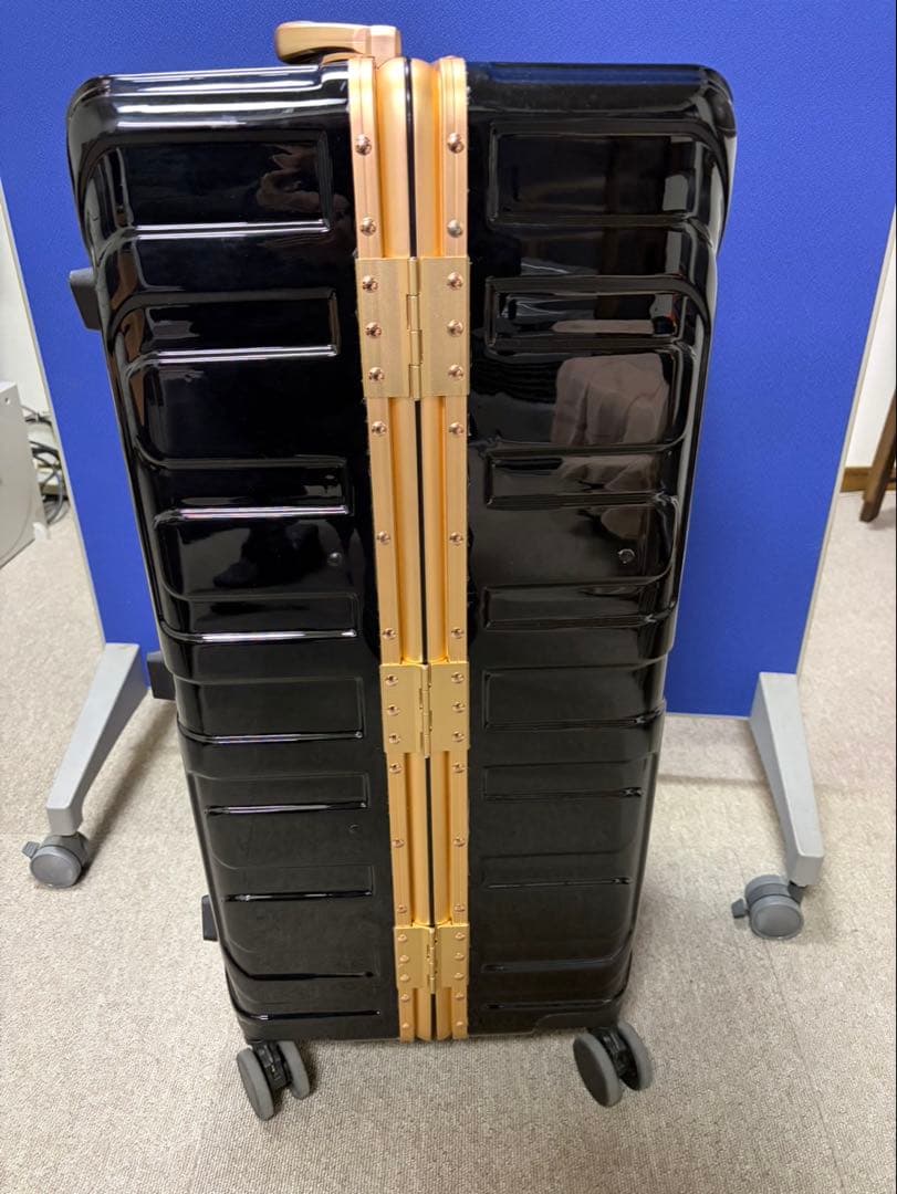 ボウリングボール3個入用キャリーバッグ