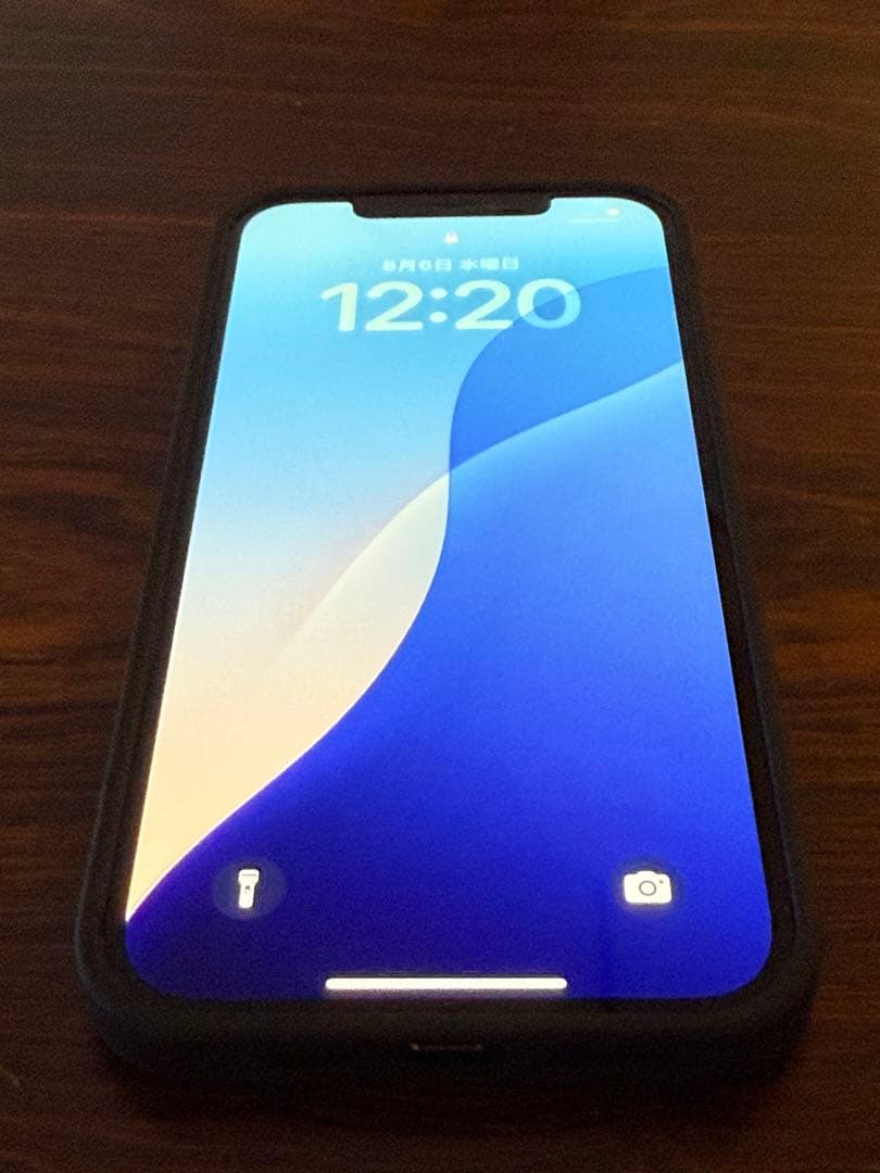 Apple iPhone 12 pro max 本体