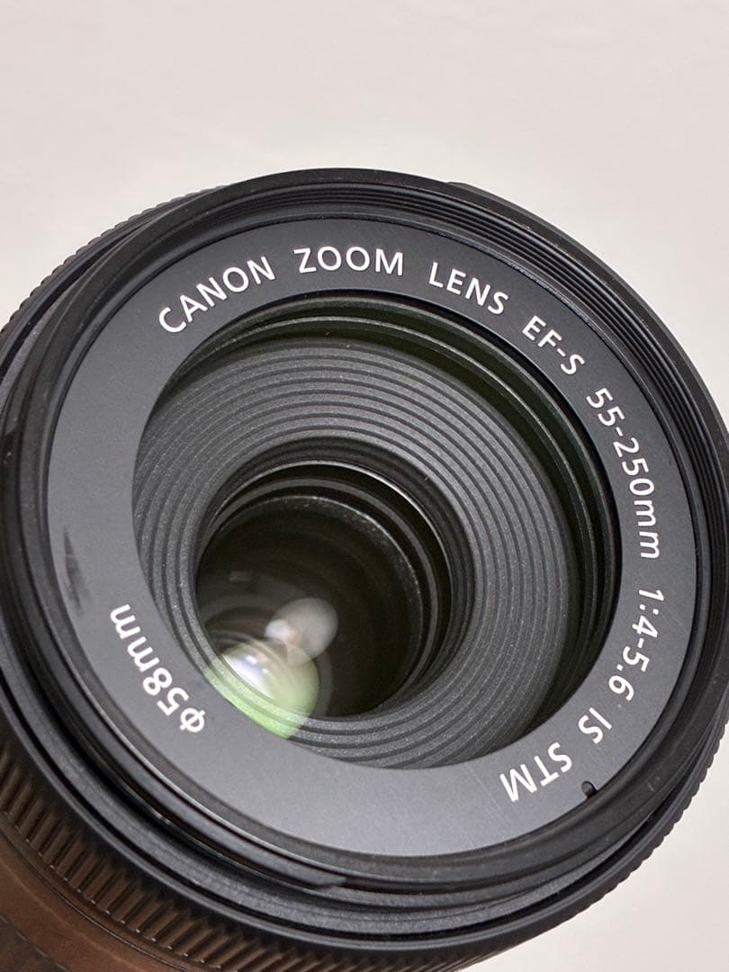 ⭐️美品⭐️Canon EF-S55-250mm IS STM フード付き望遠レンズ
